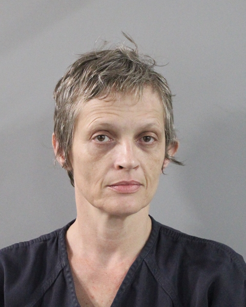 Mugshot of AMANDA SUE LAMON