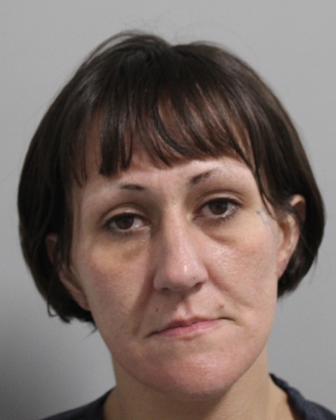 Mugshot of KIMBERLY ANN LONG