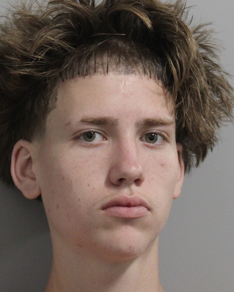 Mugshot of DOMINIC JAMES DEMASCIO