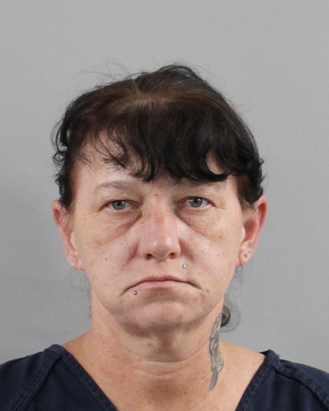 Mugshot of NATASHA LYNN GOODMAN