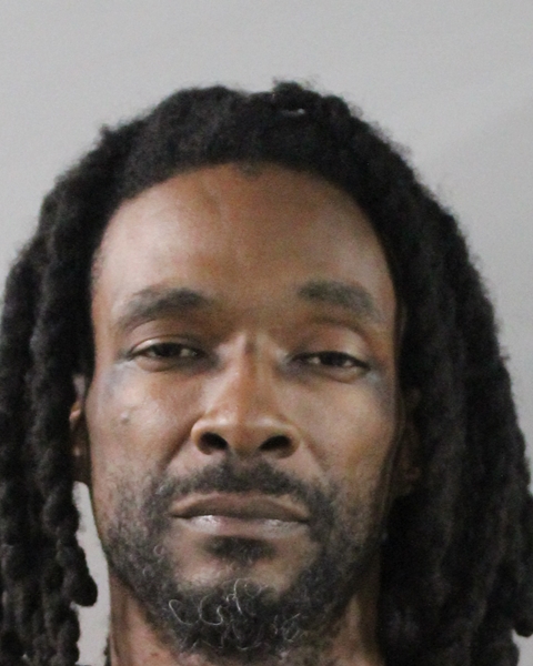 Mugshot of DEMONE BRISH MARKEE WELLS