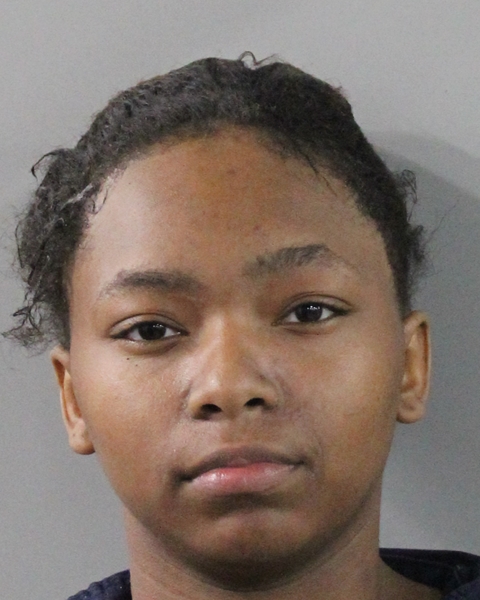 Mugshot of TAMARA LEE FINLEY