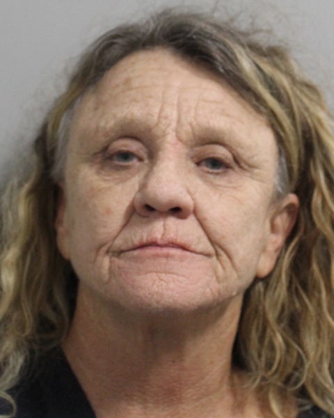 Mugshot of CAROL DENISE SANFORD