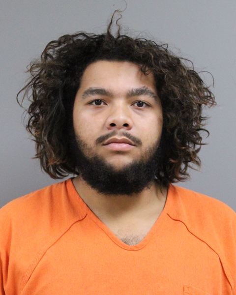 Mugshot of ERIC RICARDO COUSINS JR