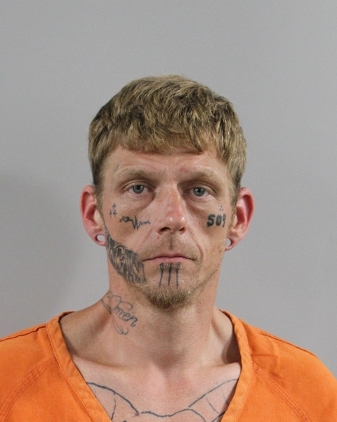 Mugshot of JOHN BRASSEUR