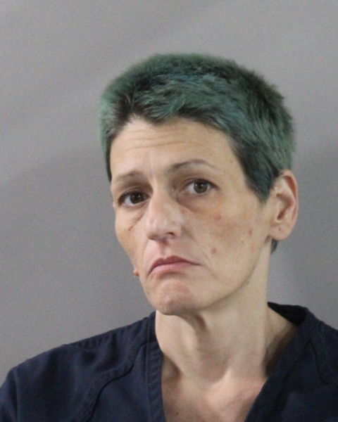 Mugshot of VANESSA DANIELLE DAY