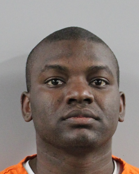 Mugshot of EFREM ZIMBALIST ALLEN