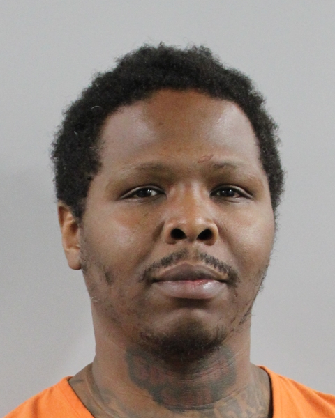 Mugshot of JANARD CHILDS