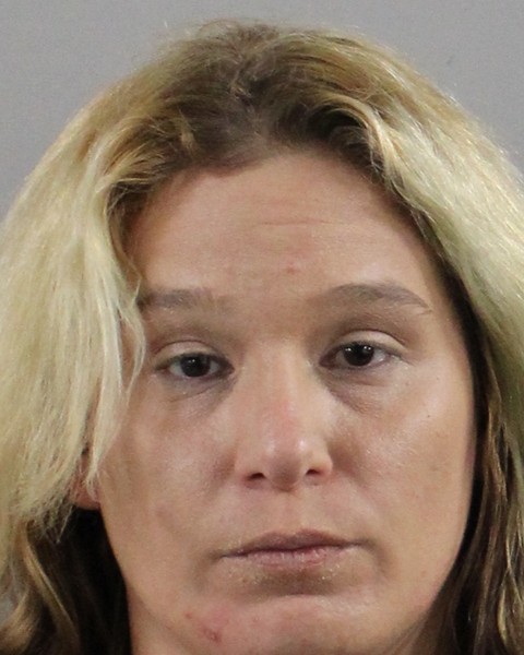 Mugshot of DAWN M CALLAHAN