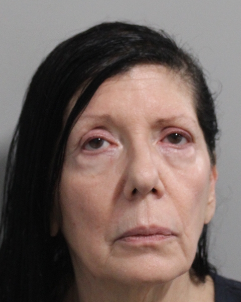 Mugshot of CONCEPCION AGUILAR