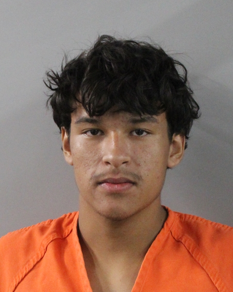 Mugshot of YAELL NINO