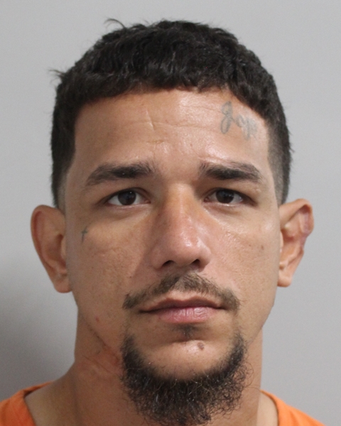 Mugshot of MARCOS L ARROYO-VEGA