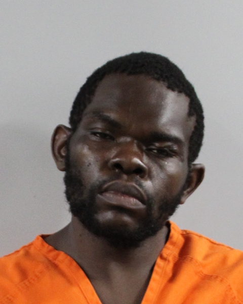 Mugshot of DAVID EARL JONES