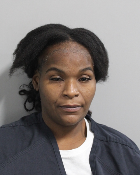 Mugshot of DEBRELA WILLIAMS
