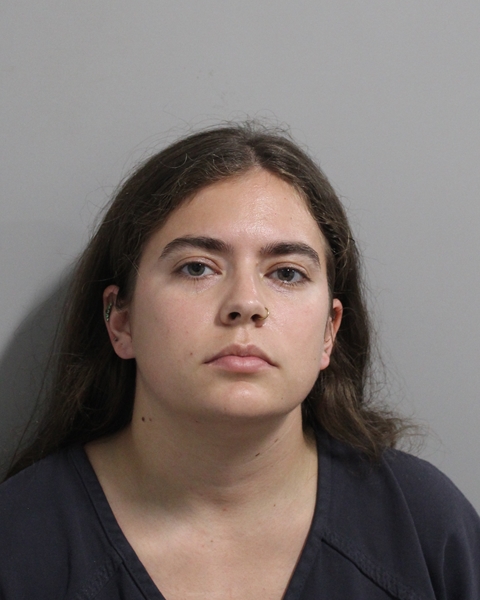 Mugshot of ISABELLA ALEXIS ROJAS