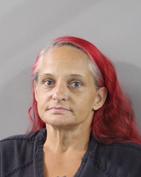 Mugshot of LUANNA LEIGH SELLERS