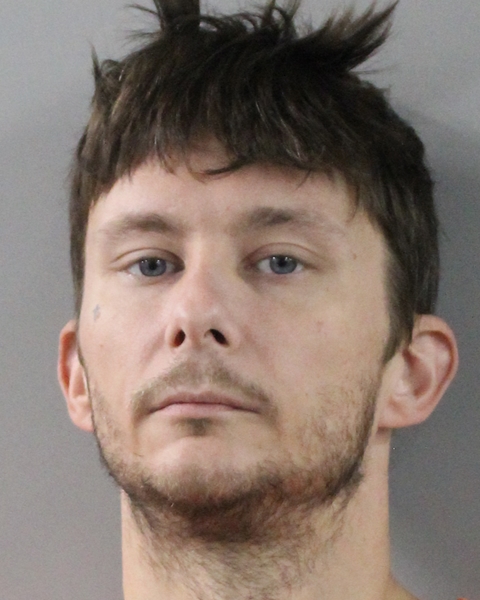 Mugshot of STEVEN MICHAEL CHANNING RILEY