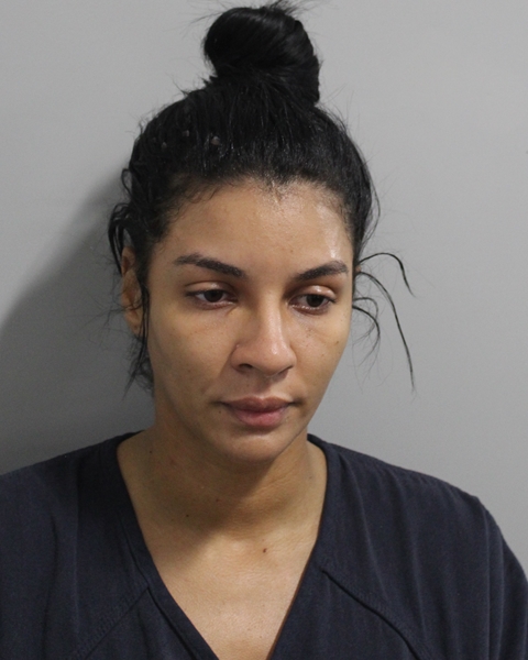 Mugshot of KRISTHEL YARIVY REGALADO ROBLES