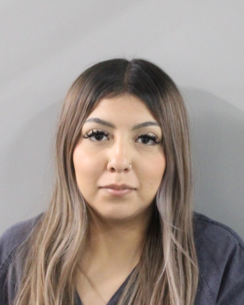 Mugshot of ANNEY TREJO