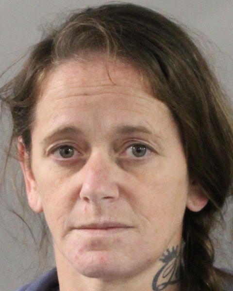 Mugshot of CAROLYN REBECCA HAMM
