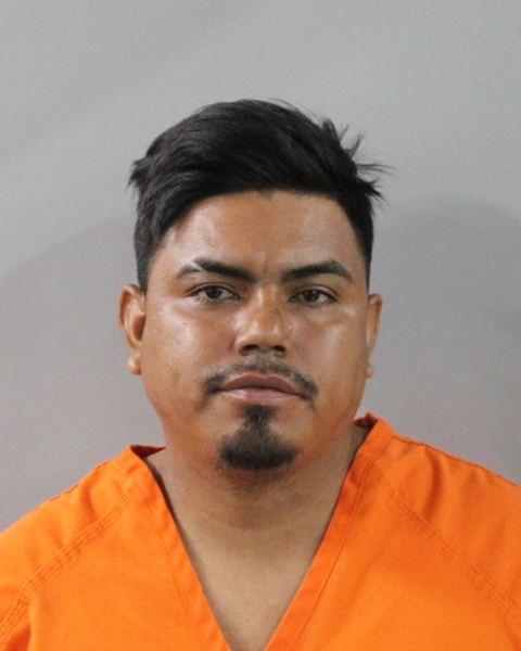 Mugshot of WILMER ORELLANA