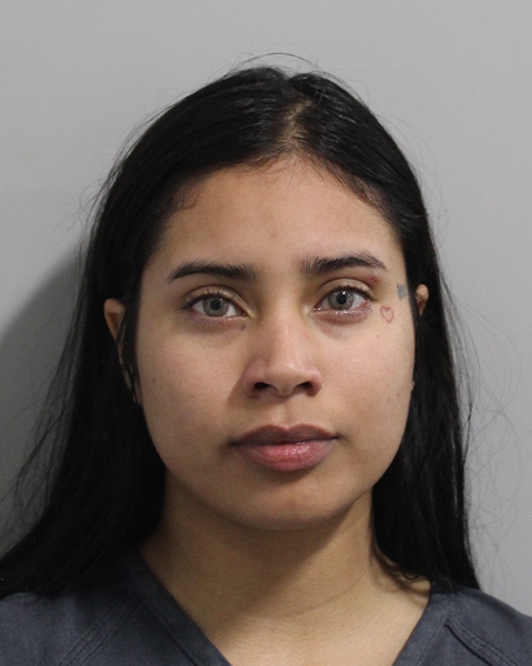 Mugshot of TAIRIANIS GONZALEZ CERRO