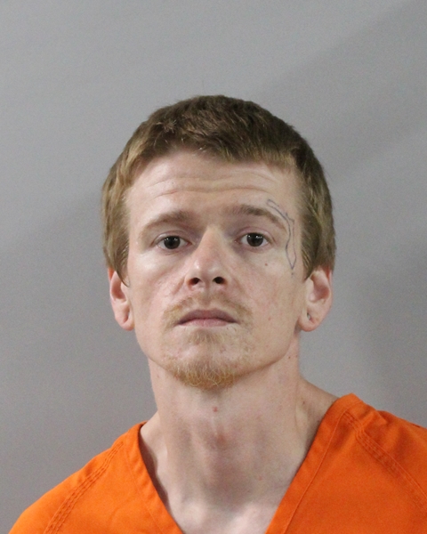 Mugshot of AUSTIN JARED MITTS