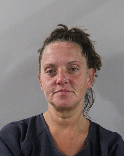 Mugshot of MICHELLE L CUMMINGS