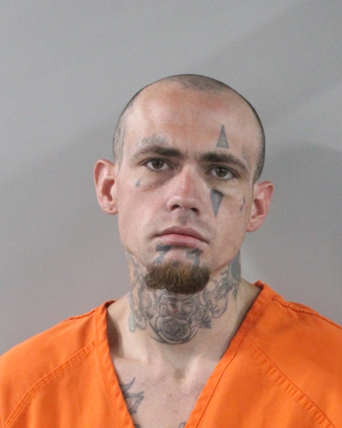 Mugshot of SHAUN MICHAEL BURCHETT