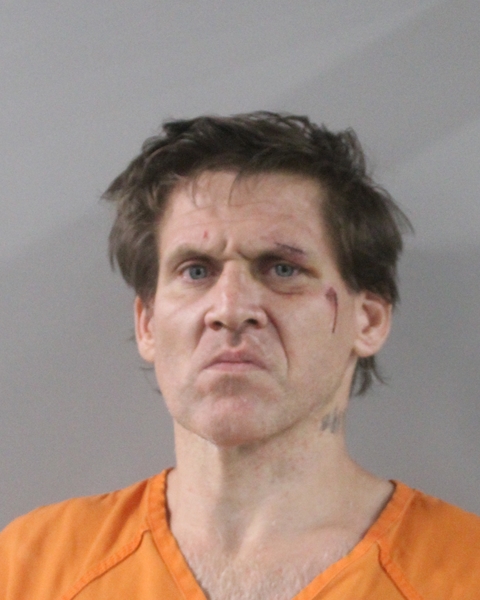 Mugshot of KELLY CURTIS CROWLEY