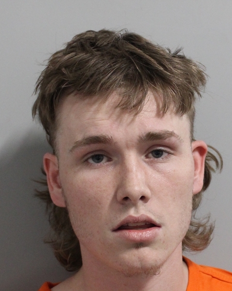 Mugshot of JAMES WESLEY DAY