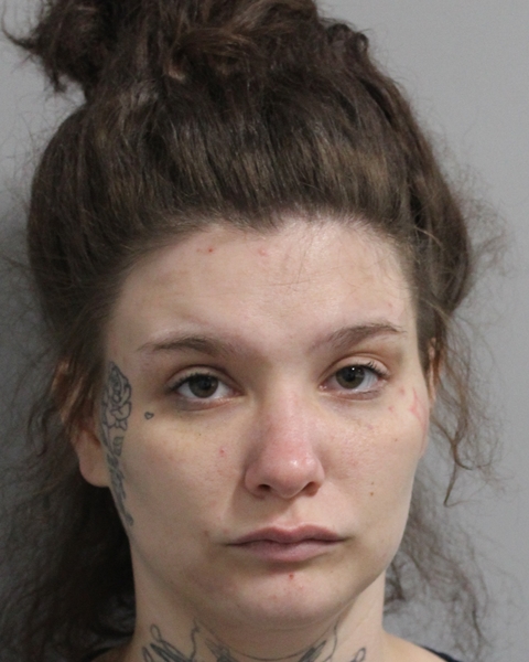 Mugshot of HAYLEE SUE CASADA