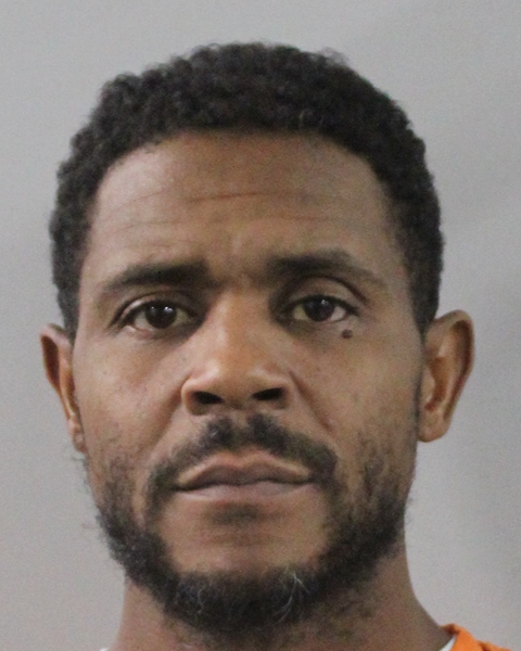 Mugshot of MICHAEL WALDELL ALLEN