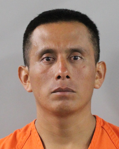 Mugshot of DAVID VAZQUEZ HERNANDEZ