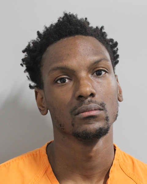 Mugshot of BRYAN RYSHAAD LANIER