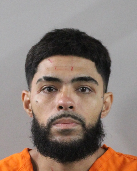 Mugshot of JONATHAN DAVID ROSARIO ORTIZ