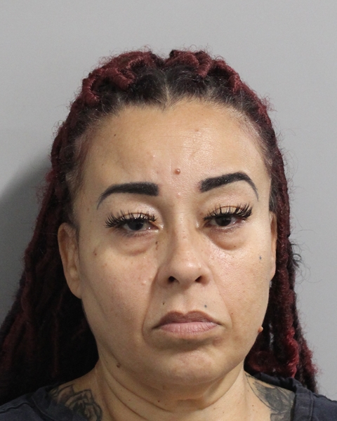 Mugshot of MARIA DEL CARMEN MEDINA CASTILLO