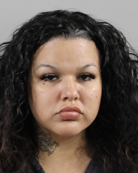 Mugshot of VYANIZ OCHOA RIVERA