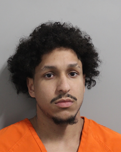 Mugshot of Gabriel Alejandro Castro Seise