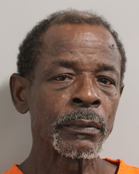 Mugshot of HENRY L COPPINS