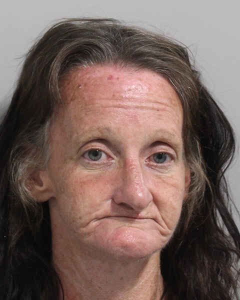 Mugshot of TASHA LORRAINE DAGOSTINO