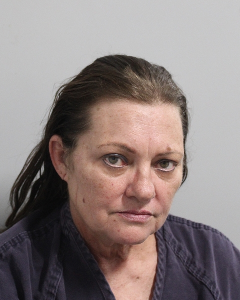 Mugshot of SHEILA ANDERSON