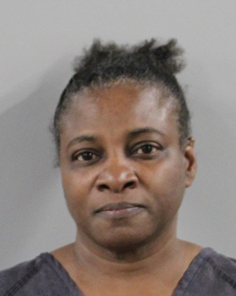 Mugshot of BRENDA LEE BLUITT