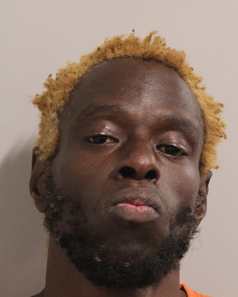 Mugshot of ROLAND ERVILUS