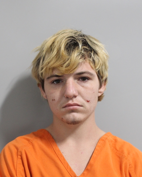 Mugshot of DEVON CLYNE