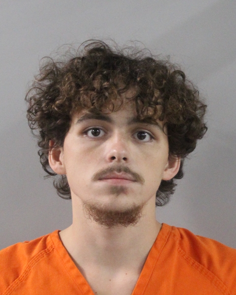 Mugshot of JOHNNY MICHAEL DOUGLAS
