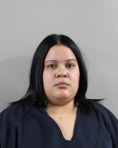 Mugshot of BIANGIS RODRIGUEZ