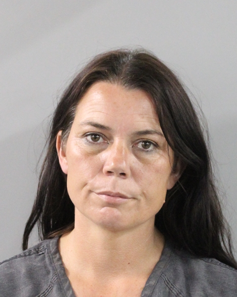 Mugshot of PATRICIA LOUISE HAYES