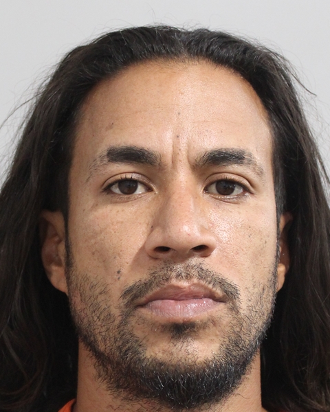 Mugshot of ALBERTO LUIS DIAZ