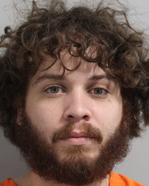 Mugshot of GIAN CARLOS NAVARRO